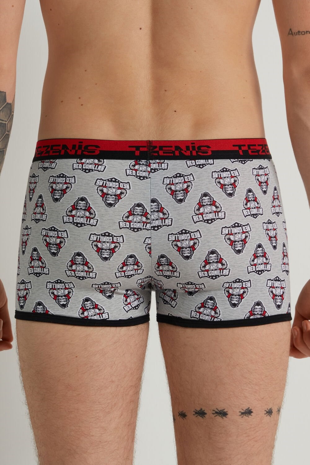 Tezenis Printed Bawełniane Boxers with Logo Elastic Waistband Szare Głęboka | 7361-NOXYT