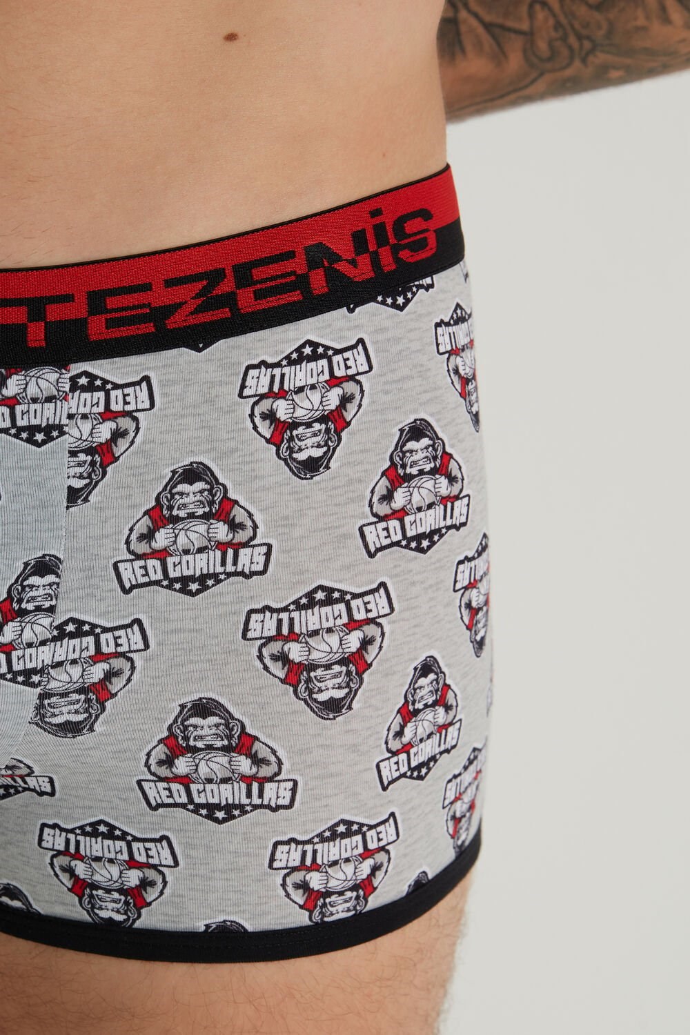 Tezenis Printed Bawełniane Boxers with Logo Elastic Waistband Szare Głęboka | 7361-NOXYT