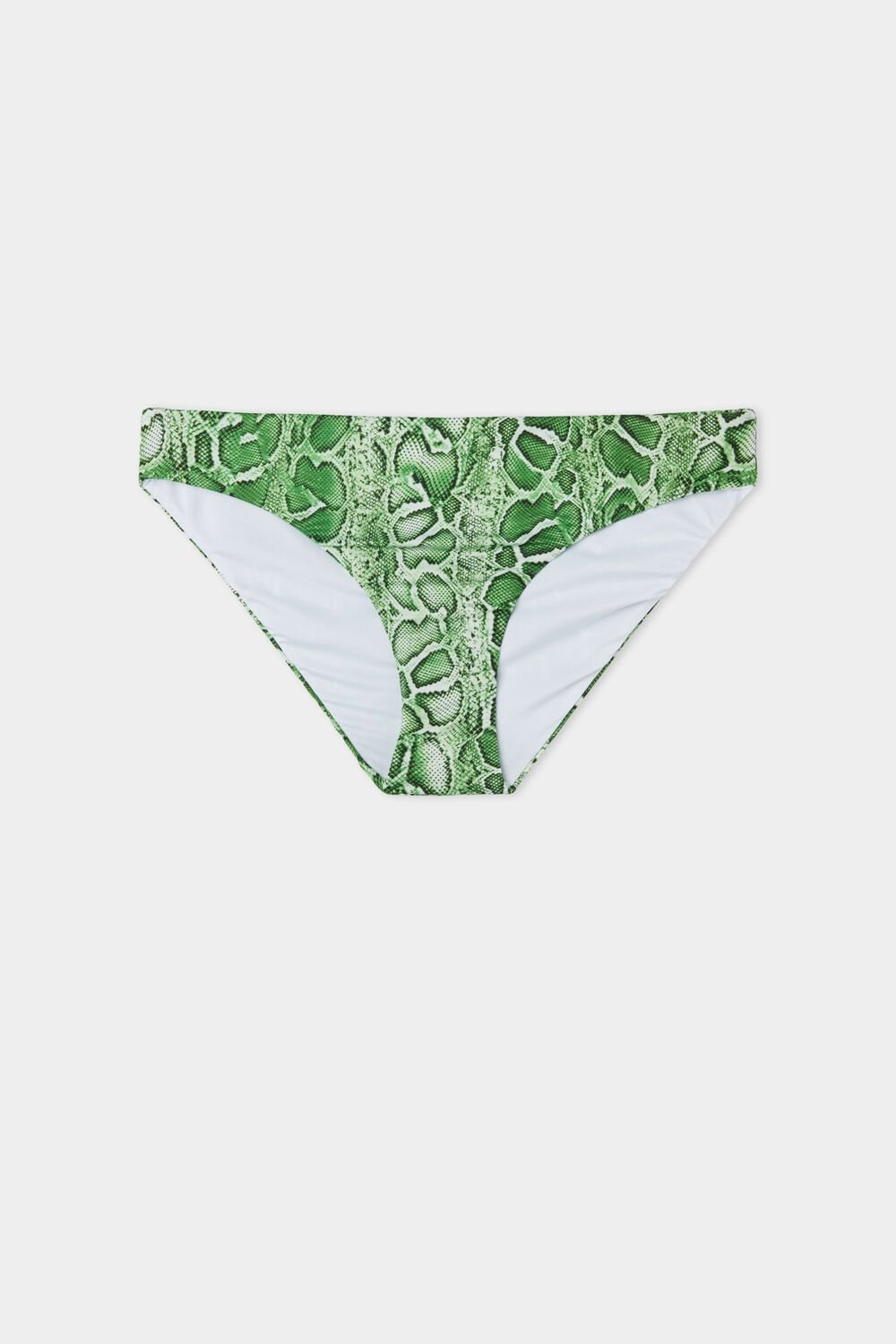 Tezenis Tropical Snake Klasyczne Bikini Bottoms Zielone Wąż | 5784-FBCGN