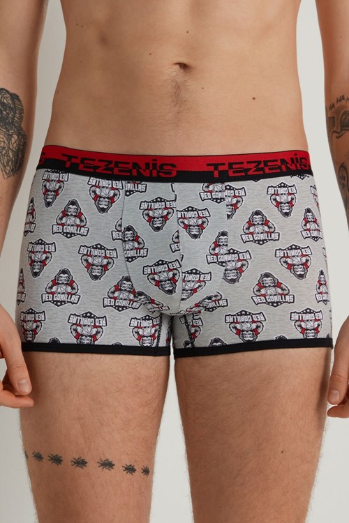 Tezenis Printed Bawełniane Boxers with Logo Elastic Waistband Szare Głęboka | 7361-NOXYT